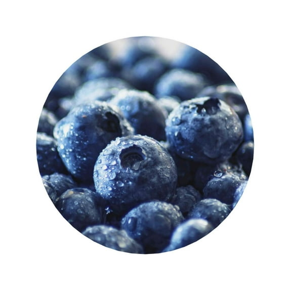 Xecao Blueberry for Fridge Magnets - Fun Decorative Refrigerator Magnets, Cute and Soft for Stylish Kitchen Accents