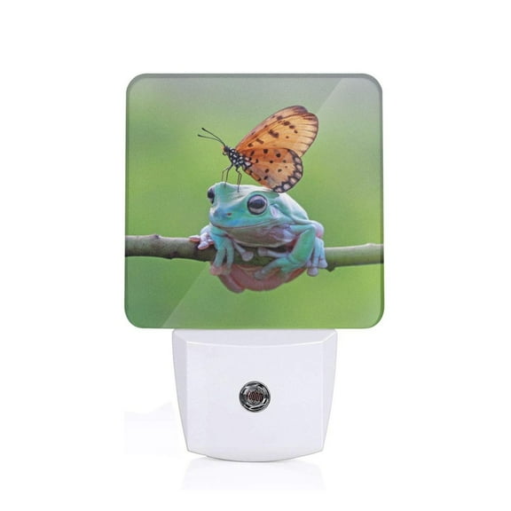 Xecao Butterfly Landing On Head Dumpy Frog for Night Light - a Wall-mounted LED Fixture with A Dusk-to-dawn Sensor, Ideal for Bedrooms, Bathrooms, Hallways, and Kitchens-EU