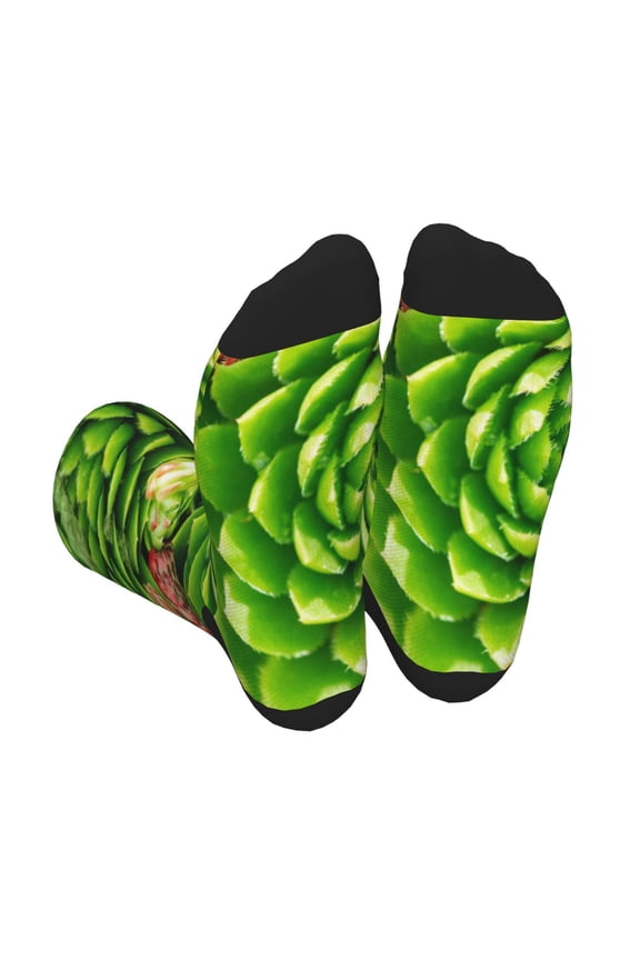 Cactus And Succulents Print Crew Socks for Men and Women, Men's Soft Moisture-wicking Sock