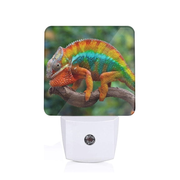 Xecao Chameleon for Night Light - a Wall-mounted LED Fixture with A Dusk-to-dawn Sensor, Ideal for Bedrooms, Bathrooms, Hallways, and Kitchens-US