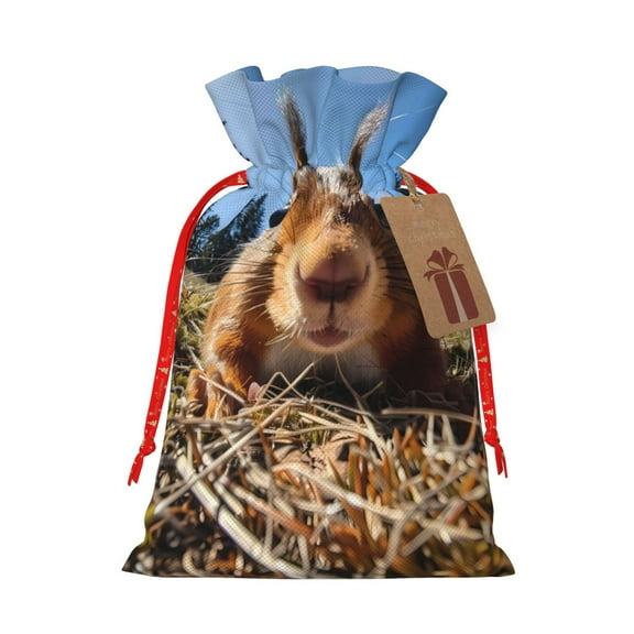 Xecao Close-Up Curious Squirrel Print Burlap Gift Bags with Drawstring and Gift Tags, Gift Bags, Burlap Bags, Jute Bags for Party, Christmas, DIY Craft Bags-Medium