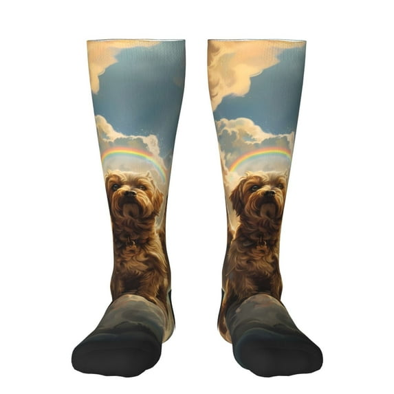 Xecao Cloud Rainbow Winged Dog print thigh-high socks, crafted for both men and women with a stretchy, high-opaque design perfect for daily wear