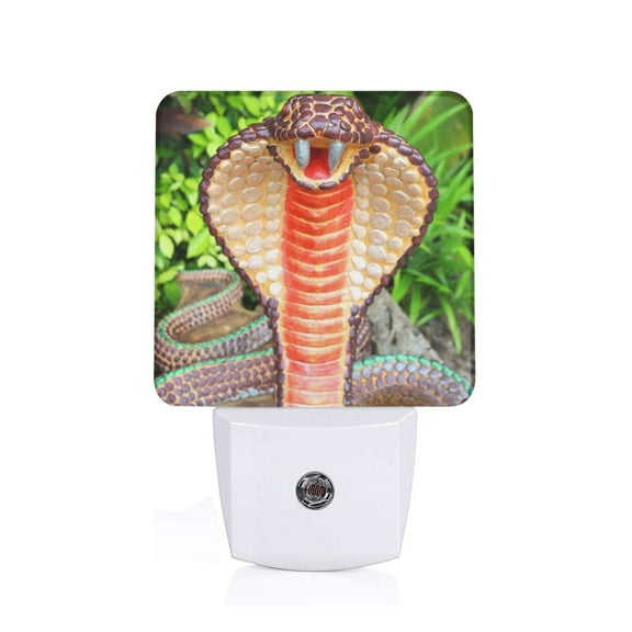 Xecao Cobra Snake for Night Light - a Wall-mounted LED Fixture with A Dusk-to-dawn Sensor, Ideal for Bedrooms, Bathrooms, Hallways, and Kitchens-US
