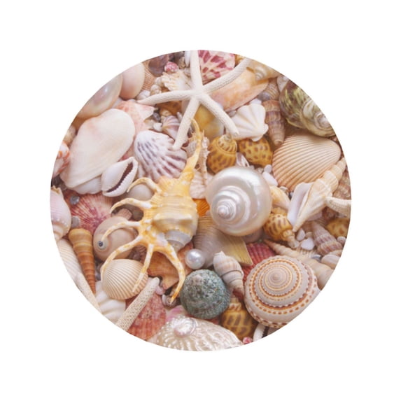 Xecao Colorful Seashells for Fridge Magnets - Fun Decorative Refrigerator Magnets, Cute and Soft for Stylish Kitchen Accents