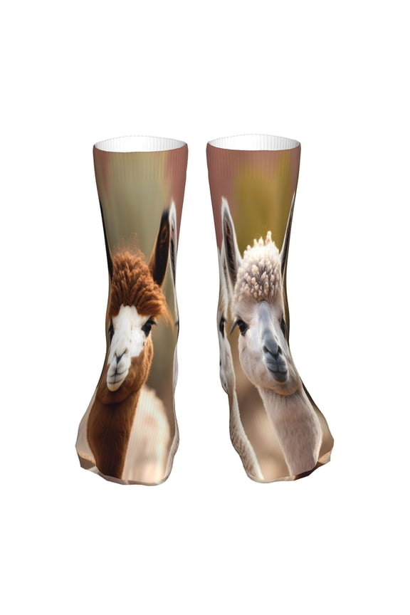 Cute Alpaca in Daze Print Fashion No Heel Casual Crew Socks Cushioned Breathable for Men Women - Moisture wicking,Not easy to fade Suitable for daily