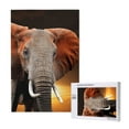 thumbnail image 1 of Xecao Elephant Sunset in Kenya Pattern 1000 Piece Puzzles , Jigsaw Puzzles for Adults, 1 of 9