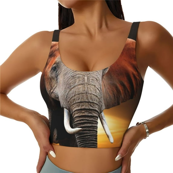 Xecao Elephant Sunset in Kenya for Sports Bra with Removable Pads, Crop Tank Top Design, Women's Longline Sports Bra - Non-Wired - Medium