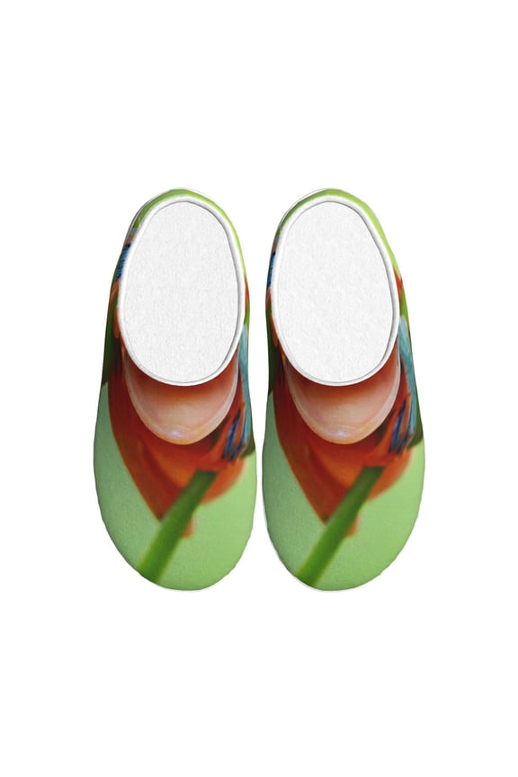 Flying Frog On Branch Print Cotton Slippers Fuzzy Warm Cozy Slippers Non Slip House Slippers For Indoor Outdoor Cotton Slippers House Slippers-46/47