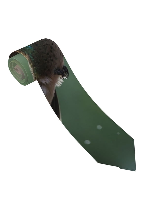 Humming Bird 1 Print Tie For Men Necktie Woven Jacquard Neck Ties,Classic Men's Tie