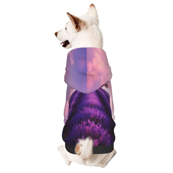 Xecao Lavender Field Sunset Pattern Sweatshirts Winter Pet Dog Hoodie Puppy Coat Dog Sweaters Dog Clothes with Hat Dog Clothes Costume Outfit,Small Pets Wear-Medium