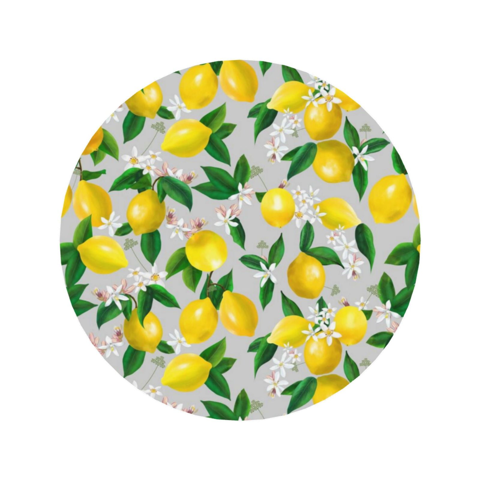 Lemon Magnets Xecao Lemon1 for Fridge Magnets - Fun Decorative Refrigerator Magnets ...