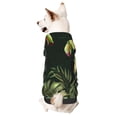thumbnail image 1 of Xecao Palm Leaves And Exotic Birds Pattern Sweatshirts Winter Pet Dog Hoodie Puppy Coat Dog Sweaters Dog Clothes with Hat Dog Clothes Costume Outfit,Small Pets Wear-Medium, 1 of 7