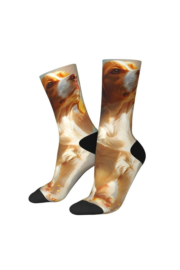 Rainbow English Cocker Spaniel Pattern Sport Socks for Women and Men Crew Socks Sporty Calf Socks Casual Socks
