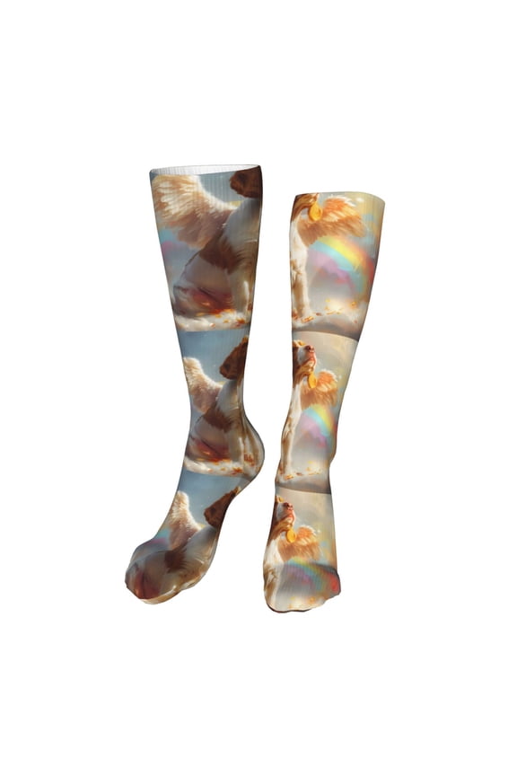 Rainbow English Cocker Spaniel Print Calf Socks Seamless Toe, Knee High Long Socks, Sports Socks Trouser Socks for Women and Men-One Size