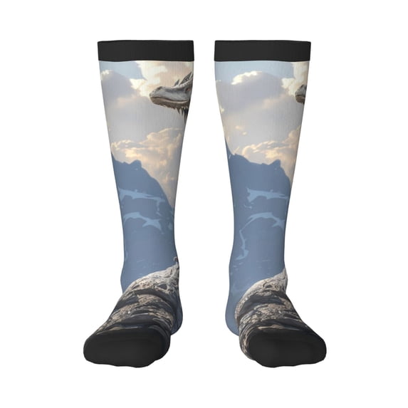 Xecao Silver Dragon Mountain Peaks Print Compression Socks for Both Men And Women for Running, Travel, Flight, Nurse
