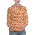 thumbnail image 1 of Xecao Sleepy Foxes Pattern Hoodies for Women Sweatshirts Long Sleeve Sweatshirts Pullover Outfits with Pocket-, 1 of 7