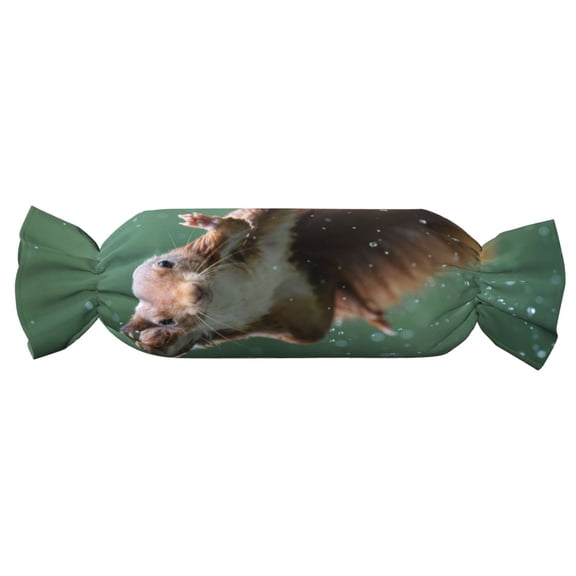 Xecao Squirrel Print+Candy-Inspired Plush Pillow for Men Women Suitable for Beds, Sofas, Game Rooms Drawstring Closure