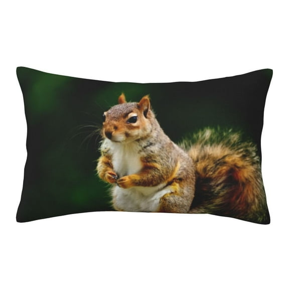 Xecao Squirrels Eating Peanuts On The Tree for Decorative Throw Pillow Case for Couch,Sofa or Bed Set,Pillow Cover for Sofa Home Decor Ideal Gift(Pillow core not included)-20"x30"