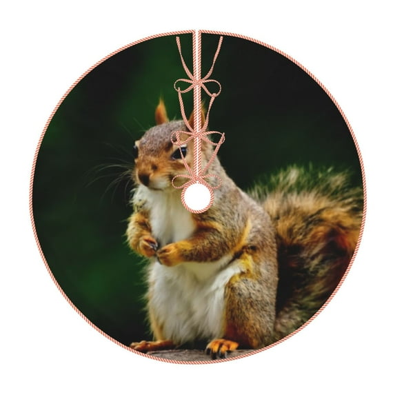Xecao Squirrels Eating Peanuts On The Tree Pattern Christmas Tree Skirt Round Xmas Tree Mat Base Cover for Holiday Home Decorations-30"