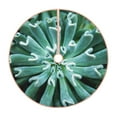 thumbnail image 1 of Xecao Teal Cactus Pattern Christmas Tree Skirt Round Xmas Tree Mat Base Cover for Holiday Home Decorations-36", 1 of 6