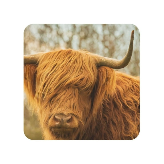 Xecao Yak for Fridge Magnets - Fun Decorative Refrigerator Magnets, Cute and Soft for Stylish Kitchen Accents