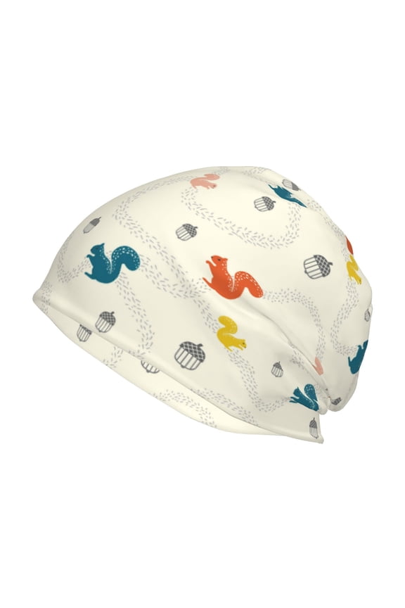 colorful Squirrel Nuts Print Knit Hat,Winter Beanie for Men Women, Beanie Soft Warm Ski Stocking Cuffed Cap