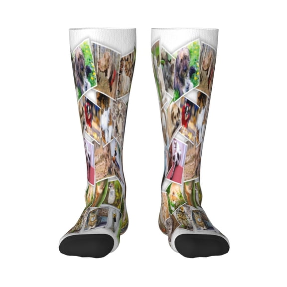 Xecao pets and birds Collage Print Compression Socks for Both Men And Women for Running, Travel, Flight, Nurse