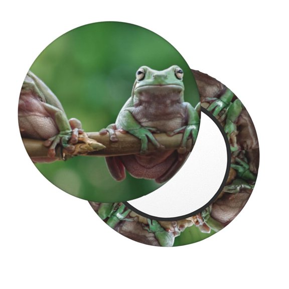 Xecao's Australian White Tree Frog Sitting on Branch Print Stool Covers offer stylish, washable protection for PU round bar stools, perfect for home or commercial use.