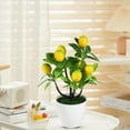 thumbnail image 1 of Xecvkr Artificial Pachycarpus Fortunei Bonsai Lifelike Large Leaf Fruit Tree Plastic White Pot Coffee Table Office Home Decor Photography Prop Gift 8.66x5.51in 1 Piece, 1 of 6