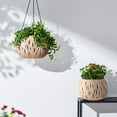thumbnail image 1 of Xecvkr Hanging Rattan Basket Planter Self-Watering Removable Decorative Plastic Home Garden Balcony Outdoor Modern Sky Garden 1 Pack Coffee, 1 of 6
