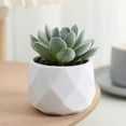 thumbnail image 1 of Xecvkr Small Decor Mini Artificial Succulents Plants in Plastic Pots Fake Green Decor for Indoor Office Desk Home Shelf Decoration 3.94x2.36 Inches 1 Piece, 1 of 6