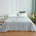 thumbnail image 1 of Xecvkr Soft Blanket Raschel Blanket Soft Thick Double Layer Cozy Fuzzy Warm Throw Winter Comforter Decorative Plush Bed Sofa All Season Use Multipurpose Relaxation 1 Pack Gray, 1 of 6