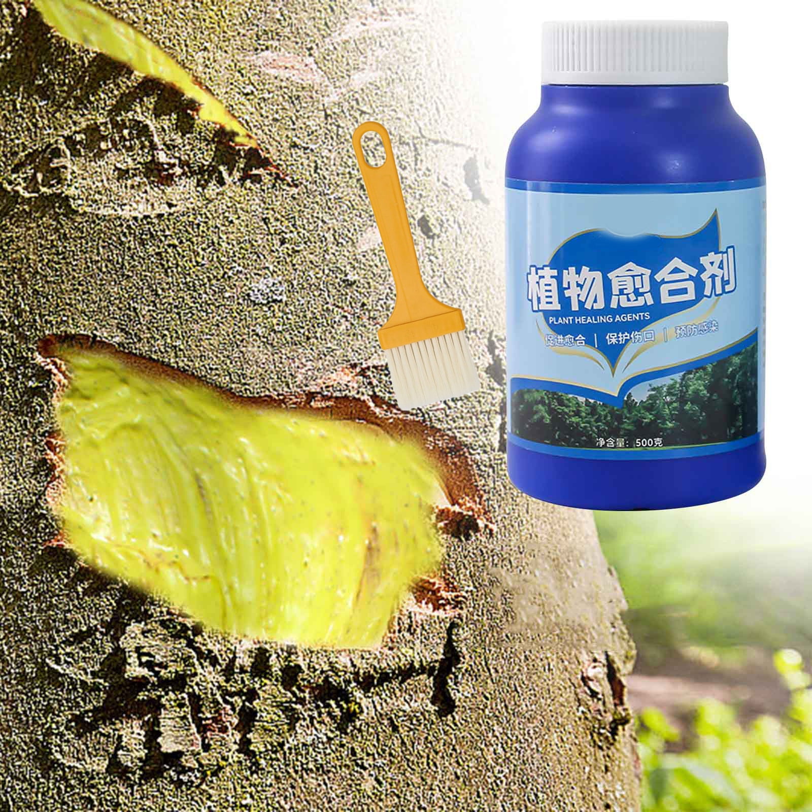 Xecvkr Tree Wound Healing Agent with Brush Fruit Bonsai Pruning Branch ...