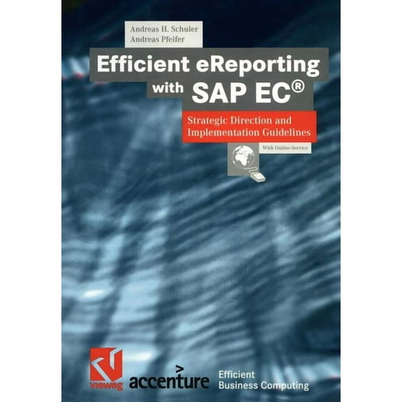 Xefficient Business Computing Efficient Ereporting with SAP Ec(r): Strategic Direction and Implementation Guidelines, (Paperback)