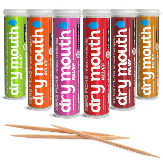 Xero Picks Dry Mouth relief - Variety - Infused Flavored Toothpicks - 120 Picks - 6 Pack