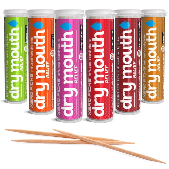 Xero Picks Dry Mouth Toothpicks – Xylitol Infused Flavored Toothpicks for Fresh Breath & Saliva Support – Long Lasting Oral Hydration – Variety 6 Pack (Cinnamon Mint, Churro, Caramel Apple & More)