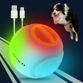 Dog Toy Bouncing Ball