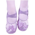 thumbnail image 1 of Xfvqtps Ballet Shoes for Girls Soft Sole Non Slip Cross Elastic Straps Butterfly Embroidery Satin Dance Shoes for Gymnastics Performance Purple, 1 of 4