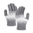 thumbnail image 1 of Xfvqtps Women Knit Gloves with Plush Lined Winter Warm Color Block Stretchy Touchscreen Mittens for Women Gray, 1 of 5