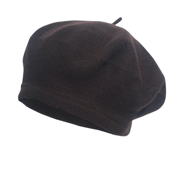 Xfvqtps Womens Beret Hat French Style Solid Color Classic Wool Plush Fur Artistic Elegant Fall Winter Painter Hat Coffee