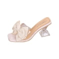 thumbnail image 1 of Xfvqtps Womens Transparent Sandals Bow Block Heel Chunky Clear Heel Slide Slippers Open Toe Summer Shoes with Bow Detail Casual Sandals, 1 of 9