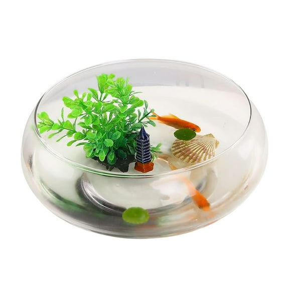 Xhegex Large Transparent Hydroponic Turtle Fish Tank with Copper Coin Grass Flower Pot