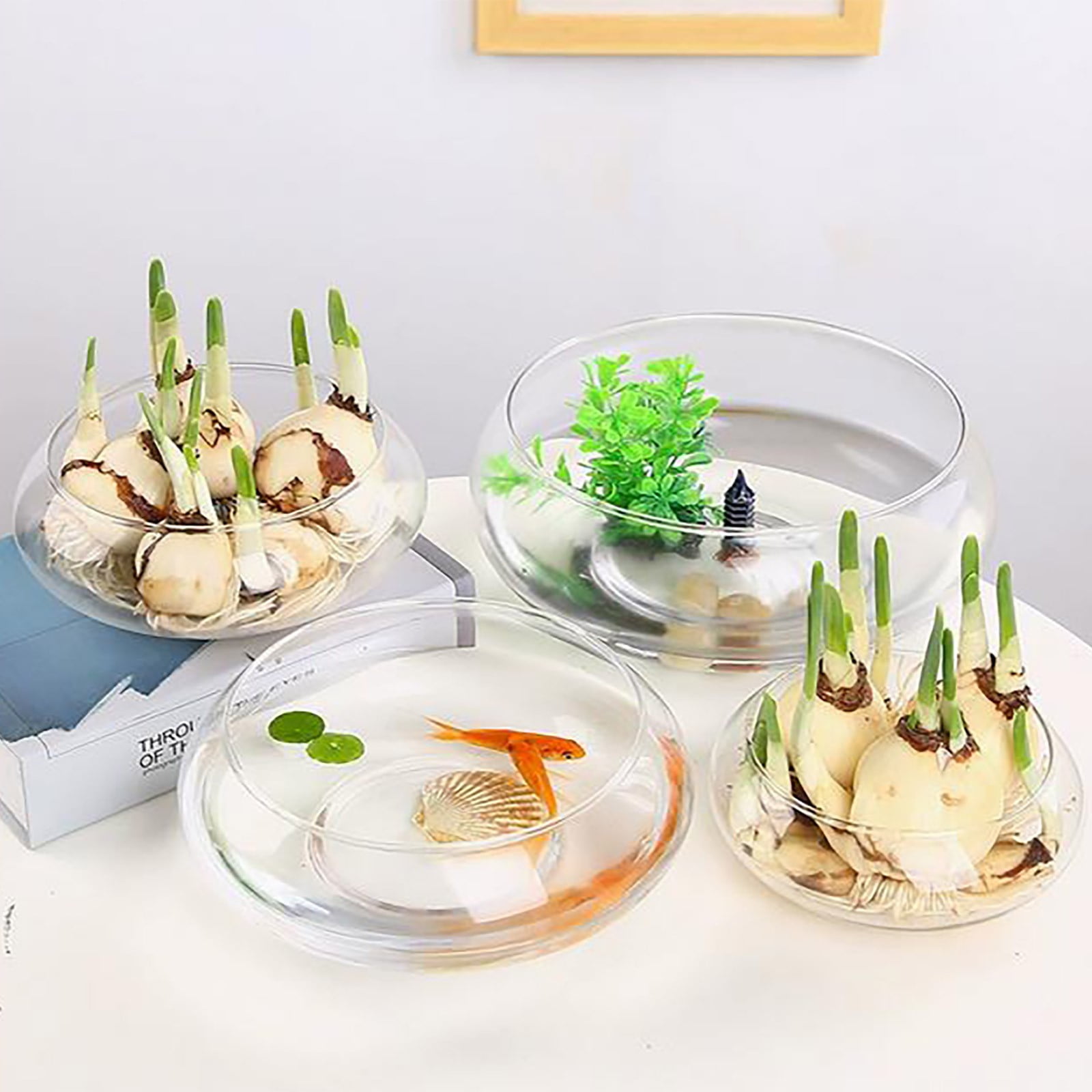 Xheghe Elegant Hydroponic Glass Turtle Fish Tank – Versatile Water Vessel for Aquatic Plants, Unique Copper Coin Grass Bowl – Perfect Gift for Plant Lovers and Home Décor