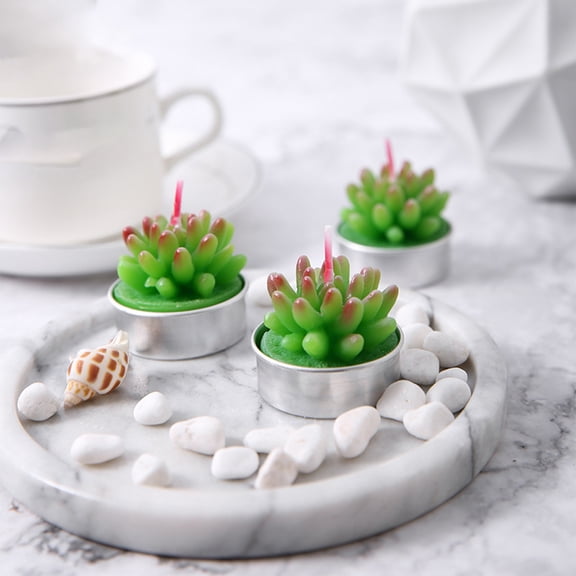 Xheghe Succulent Cactus Candles Set - Decorative Non-Smoking Wax Candles for Home Decor and Special Occasions