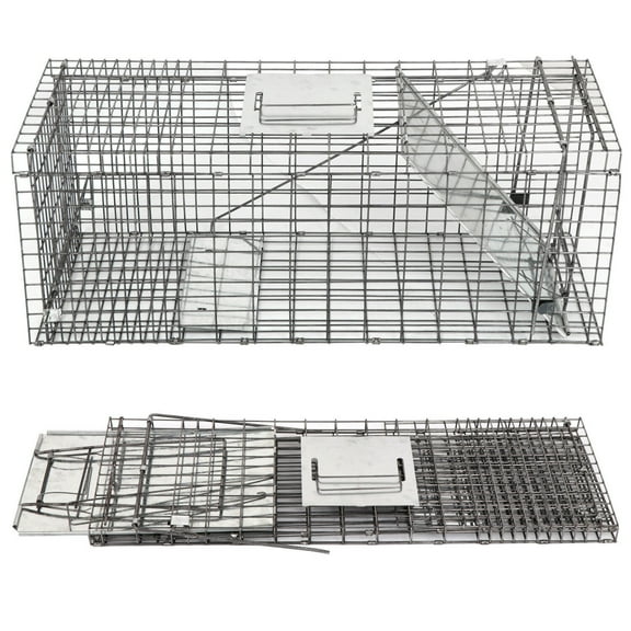 XiHuaZhaoChen Large Collapsible Humane Live Animal Cage Trap for Raccoon, Opossum, Stray Cat, Rabbit, Groundhog and Armadillo,31 x 12 x 12.5(Spring loaded door)