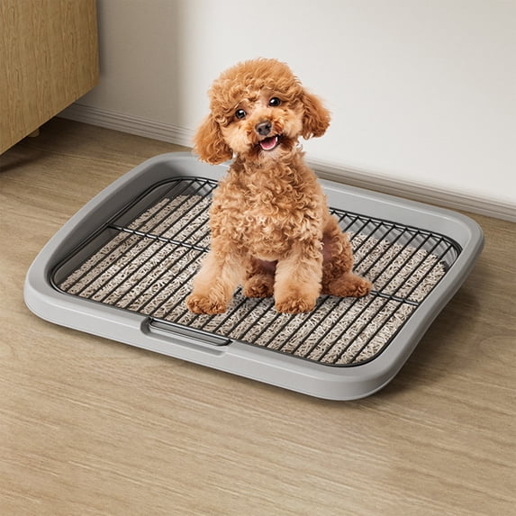 XiYing Stainless Steel Flat Bottom Dog Toilet, Detachable Washable Pet Urine Potty, Easy Clean Design for Small Medium Dogs, 1 Count
