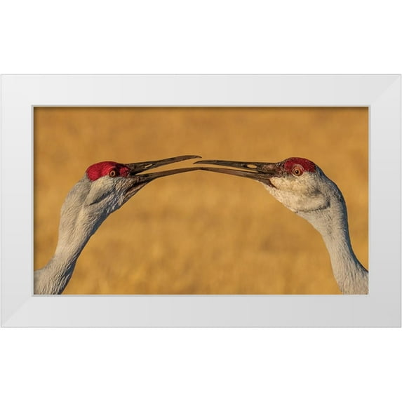 Xiao, Hanping 14x10 White Modern Wood Framed Museum Art Print Titled - The Kiss