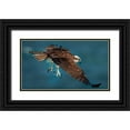 thumbnail image 1 of Xiao, Hanping 18x12 Black Ornate Wood Framed with Double Matting Museum Art Print Titled - Osprey In Action, 1 of 4