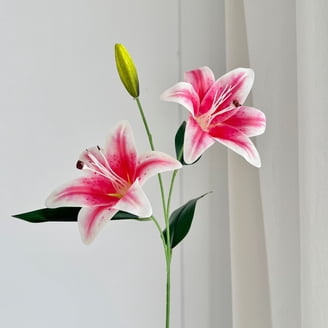 Xiao Hua All Artificial Plants and Flowers in Artificial Plants