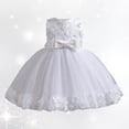 thumbnail image 1 of Xiaowennn Children's Mesh Dress Dress Stylish Little Girl Dress Toddler Girls Skirt, 1 of 8
